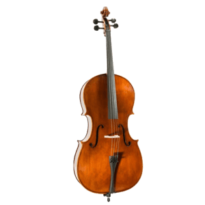 Violonchelo Duetto con arco y funda